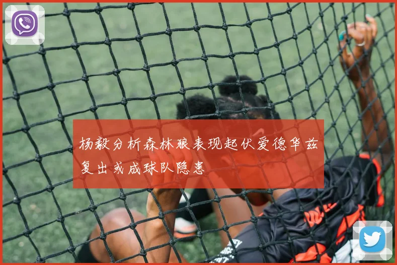 杨毅分析森林狼表现起伏爱德华兹复出或成球队隐患